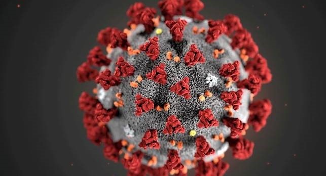 Ilustrasi virus Korona (Jawapos/Ist)
