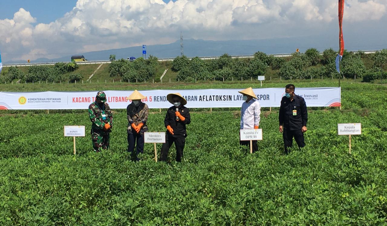 Mentan Syahrul Yasin Limpo (tengah) eresmikan Instalasi Penelitian dan Pengkajian Teknologi Penelitian (IP2TP) Desa Muneng (Reni I / Radar Malang)