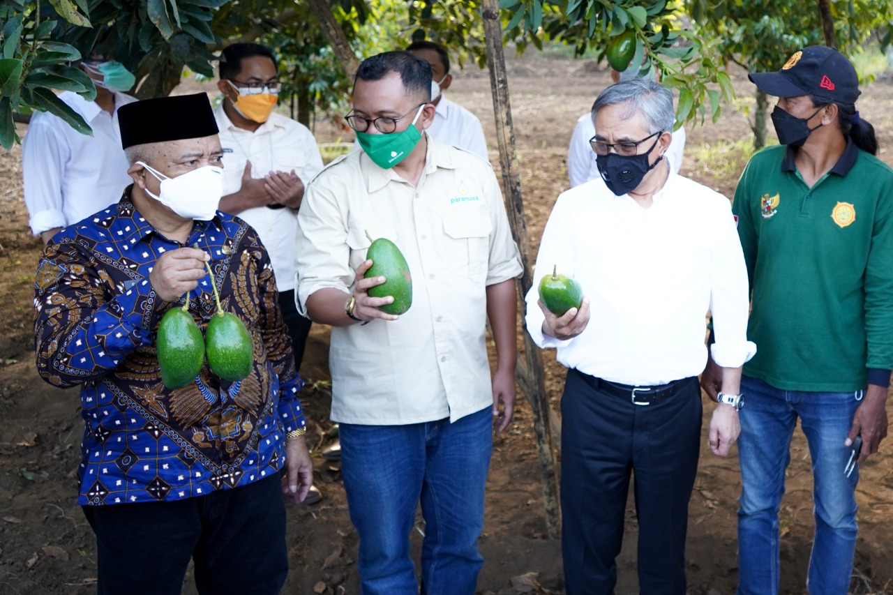 Ketua Dewan Komisioner OJK Wimboh Santoso (dua dari kanan) berdiskusi dengan Bupati Malang Drs H M Sanusi MM tentang komoditas alpukat pameling yang menjadi salah satu andalan Kabupaten Malang, Sabtu (4/9). (Ist)