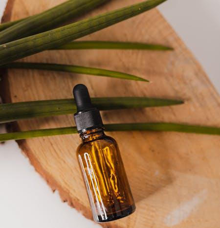 Tea Tree Oil memiliki segudang manfaat untuk kesehatan kulit. (Ist)