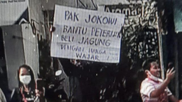 Seorang peternak ayam yang melakukan aksi demo saat Presiden Jokowi kunker ke Blitar beberapa waktu lalu. (ist)