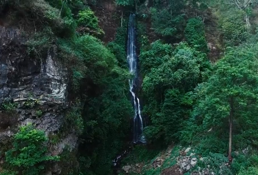 Coban Parang Tejo (ist)