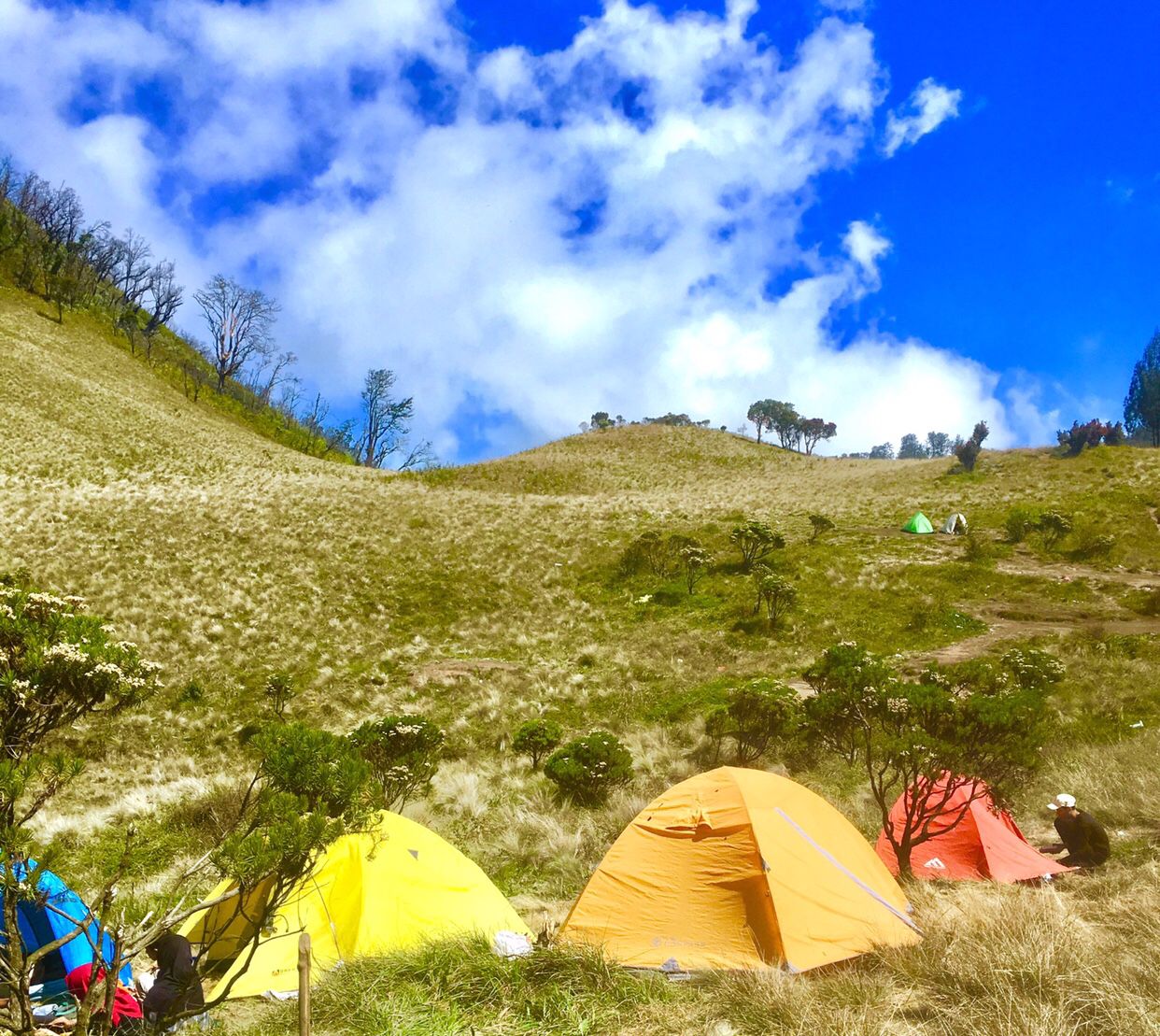 Keindahan Padang Savana di Gunung Buthak menjadi favorit para pendaki. (Ferdinand/Radar Malang)