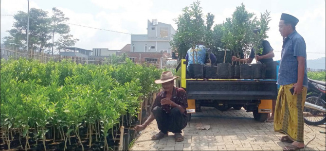 Kota Batu digadang-gadang bisa menjadi sentra pembibitan jeruk. (Nugraha/Radar Malang)