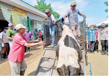 ILUSTRASI: Penutupan pasar hewan di Desa Dengkol, Kecamatan Singosari beberapa waktu lalu dilakukan akibat penyakit mulut dan kuku pada sapi yang sedang menular. (SUHARTO/RADAR MALANG)