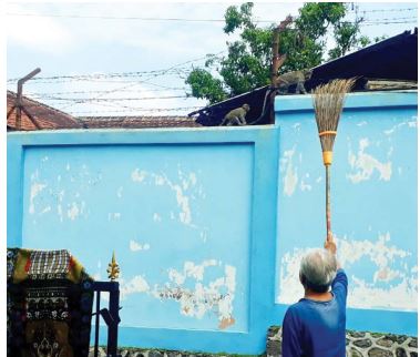 MERESAHKAN: Warga Dusun Wendit Barat berusaha mengusir monyet-monyet yang berkeliaran di atap rumah mereka kemarin.(HANIFUDDIN MUSA/RADAR MALANG)