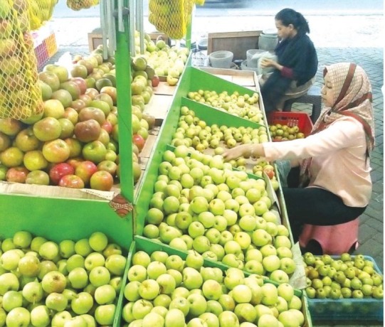 STOK TERBATAS: Harga buah apel sedang naik cukup siginifikan, namun sayang kualitas panen buah khas Kota Batu ini sedang kurang baik.(AFIFAH RAHMATIKA/RADAR BATU)