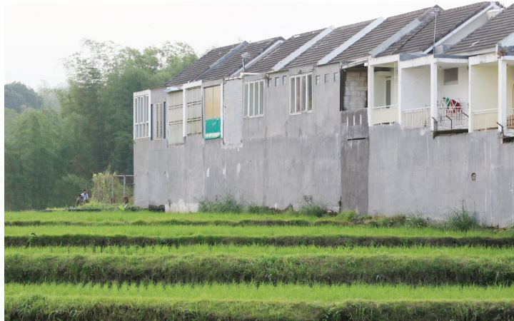BATASI ALIH FUNGSI: Lahan pertanian di Merjosari, Kota Malang sudah terbangun perumahan. Pemkot Malang melindungi lahan persawahan agar tidak habis tergerus.
