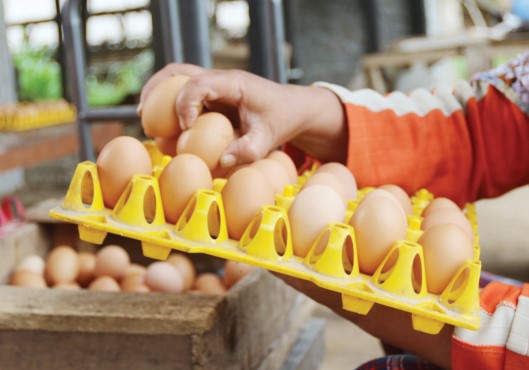 NAIK DRASTIS: Kenaikan harga telur dari Rp 25 ribu per kilogram menjadi Rp 28 ribu sampai Rp 30 ribu membuat pemilik warung resah. (Darmono/Radar Malang)