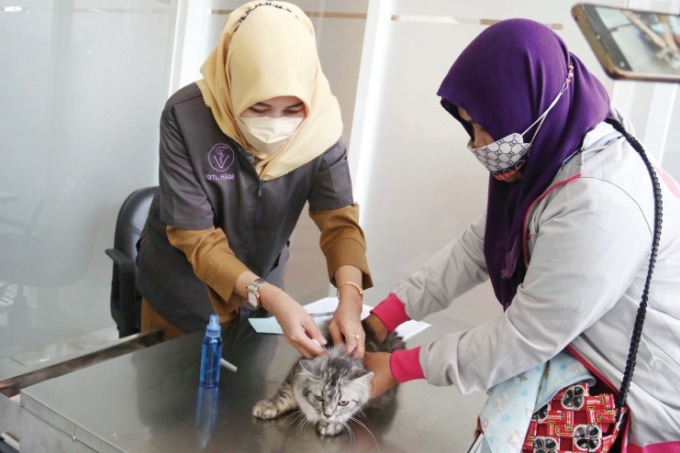 RUTIN SETAHUN SEKALI: Petugas kesehatan hewan Dispangtan Kota Malang melakukan vaksinasi pada kucing di Puskeswan, kemarin. (Suharto/Radar Malang)