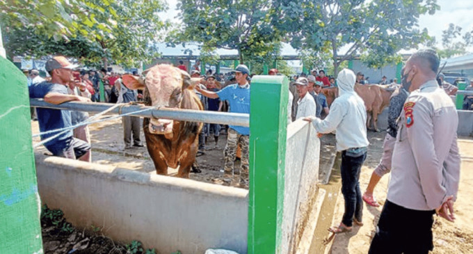 EMPAT BULAN TUTUP: Pedagang sapi saat menjual Pasar Hewan Singosari sebelum kasus PMK. Mulai Senin besok pasar ini sudah bisa buka kembali. (SUHARTO/ RADAR MALANG)