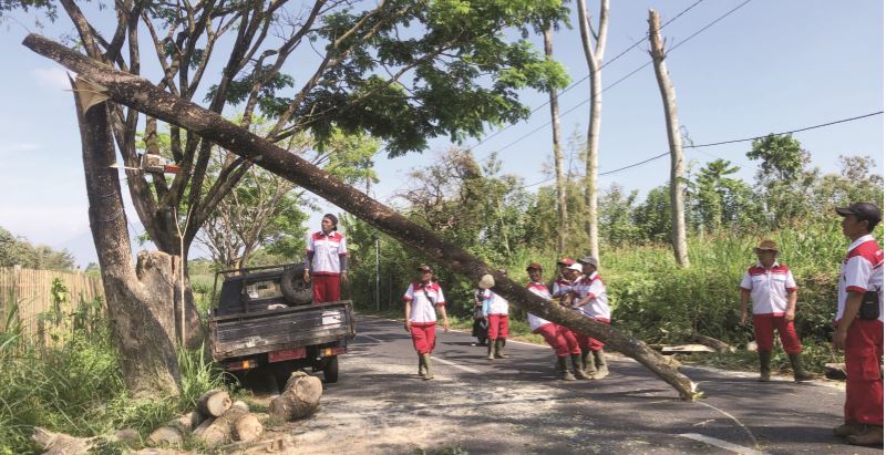 DIEVAKUASI: Petugas UPT PU Kecamatan Poncokusumo memotong pohon yang tumbang dan membahayakan pengguna jalan di Desa Wringinanom, kemarin (12/9). (YUDISTIRA/RADAR MALANG)