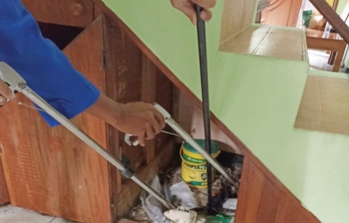 DIAMANKAN: Petugas mengevakuasi ular di bawah tangga rumah warga di Perum Tirtasani Blok C7 Desa Kepuharjo, Kecamatan Karangploso, Kabupaten Malang (11/10). TIM DAMKAR KABUPATEN MALANG FOR RADAR KANJURUHAN