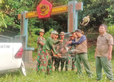 KEMBELI KE HABITAT: Marinir Puslatpurmar-4 Purboyo dan BKSDA Jatim melepas liarkan burung ke hutan kawasan Pantai Baruna. IST