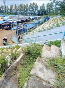 TIDAK LAYAK: Kondisi tribun Stadion Brantas saat ini dipenuhi dengan tumbuhan liar. (ANDIKA/RADAR BATU)