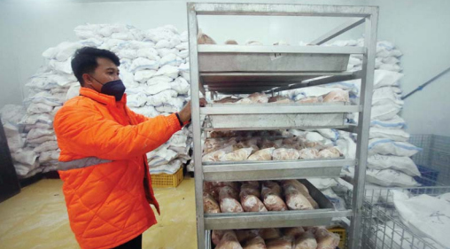 JAMIN BAHAN PANGAN: Stok ayam di gudang penyimpanan Perumda Tunas jadi salah satu cara menekan inflasi.