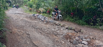 BUTUH PERBAIKAN: Kondisi ruas jalan di Desa Sonowangi, Kecamatan Ampelgading menuju arah Desa Lebakharjo yang sulit dilewati.