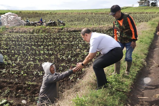 SALAM : Pj Wali Kota Batu Aries Agung Paewai menyalami petani sayur. (Afifah/Radarmalang)