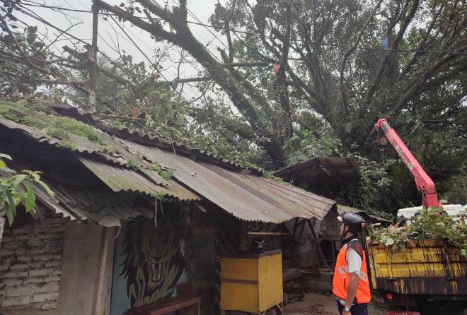 KESEKIAN KALINYA: Pohon trembesi menimpa bengkel motor di Desa Krebet Senggrong, Kecamatan Bululawang, kemarin siang. Beruntung, tidak ada korban jiwa. (BPBD Kabupaten Malang For Radar Malang)