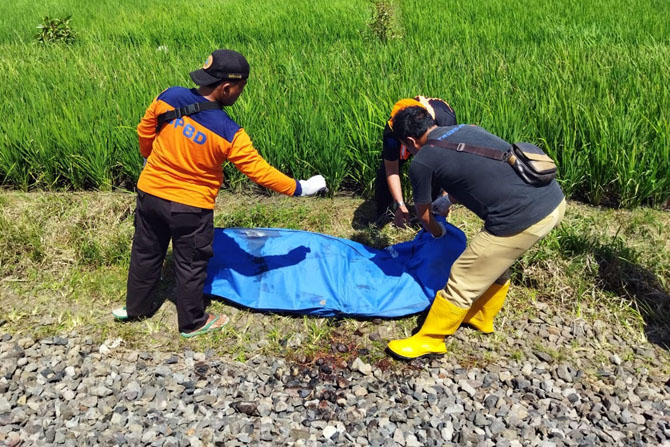 TAK KANTONGI IDENTITAS: Petugas melakukan evakuasi terhadap korban yang tertabrak kereta api di Desa Jatirejoyoso, Kecamatan Kepanjen, kemarin siang (21/2).(BPBD Kabupaten Malang For Radar Malang)