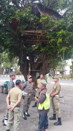KUMUH: Tim Satpol PP Kota Malang berbincang dengan salah seorang anggota takmir masjid sebelum membongkar rumah pohon di Jalan Raya Langsep, Selasa (21/3).  (SATPOL PP KOTA MALANG FOR RADAR MALANG)