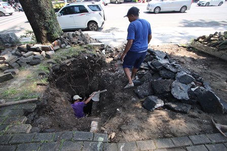 MEMAKAN KORBAN: Pekerja memperbaikan saluran drainase yang ambles di Jalan Bandung kemarin (15/3).