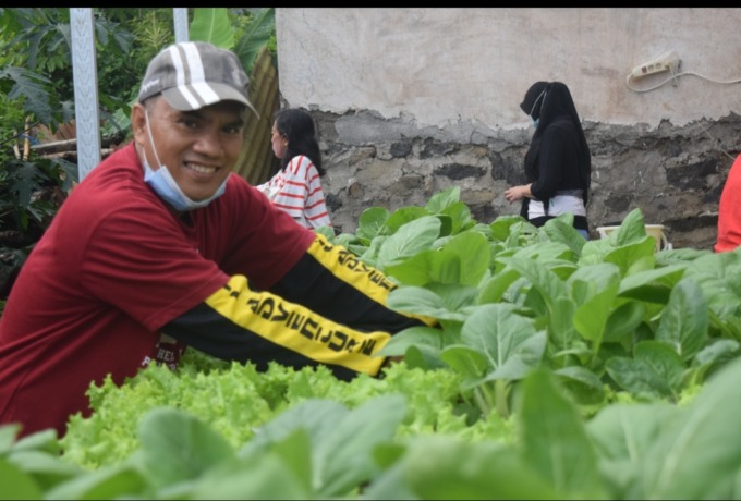 TERJUN LANGSUNG: Prof Imam tidak hanya berkutat di kampus saja. Dia juga melakukan diversifikasi pangan melalui budidaya pertanian.