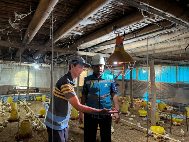 Salah satu petugas PLN UP3 Malang memberikan edukasi tentang Pakar Ayam, pemanas ayam yang lebih hemat dan efektif kepada salah satu peternak.