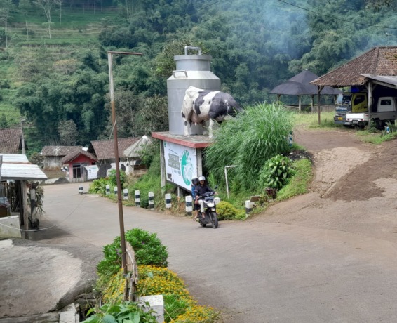 SENTRA SUSU: Salah satu sentra produksi susu sapi perah adalah di Dusun Baru, Desa Gunungsari, Bumiaji.