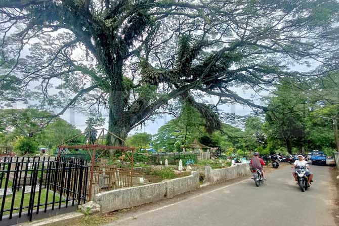 JALAN : Tempat Pemakaman Umum Samaan Kota Malang. (Suharto/Radar Malang)