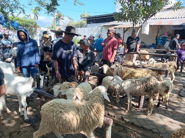 BERJUBEL: Sejumlah pedagang menjajakan kambing di Pasar Hewan Karangploso. Jelang Idul Adha, jumlah kambing dan sapi yang diperjualbelikan meningkat. INDAH MEI YUNITA/RADAR MALANG