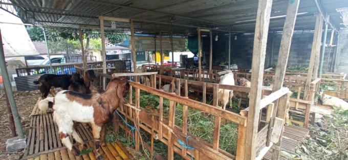 LARIS: Lapak hewan kurban di Jalan Dewi Sartika Kota Batu sudah banyak yang terjual.