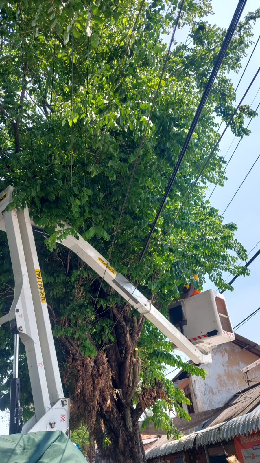 LEBIH RAPI: Petugas PLN ULP Mojokerto melakukan kegiatan rabas skylift sebagai bentuk pengamanan pohon tanpa padam, kemarin (18/7).