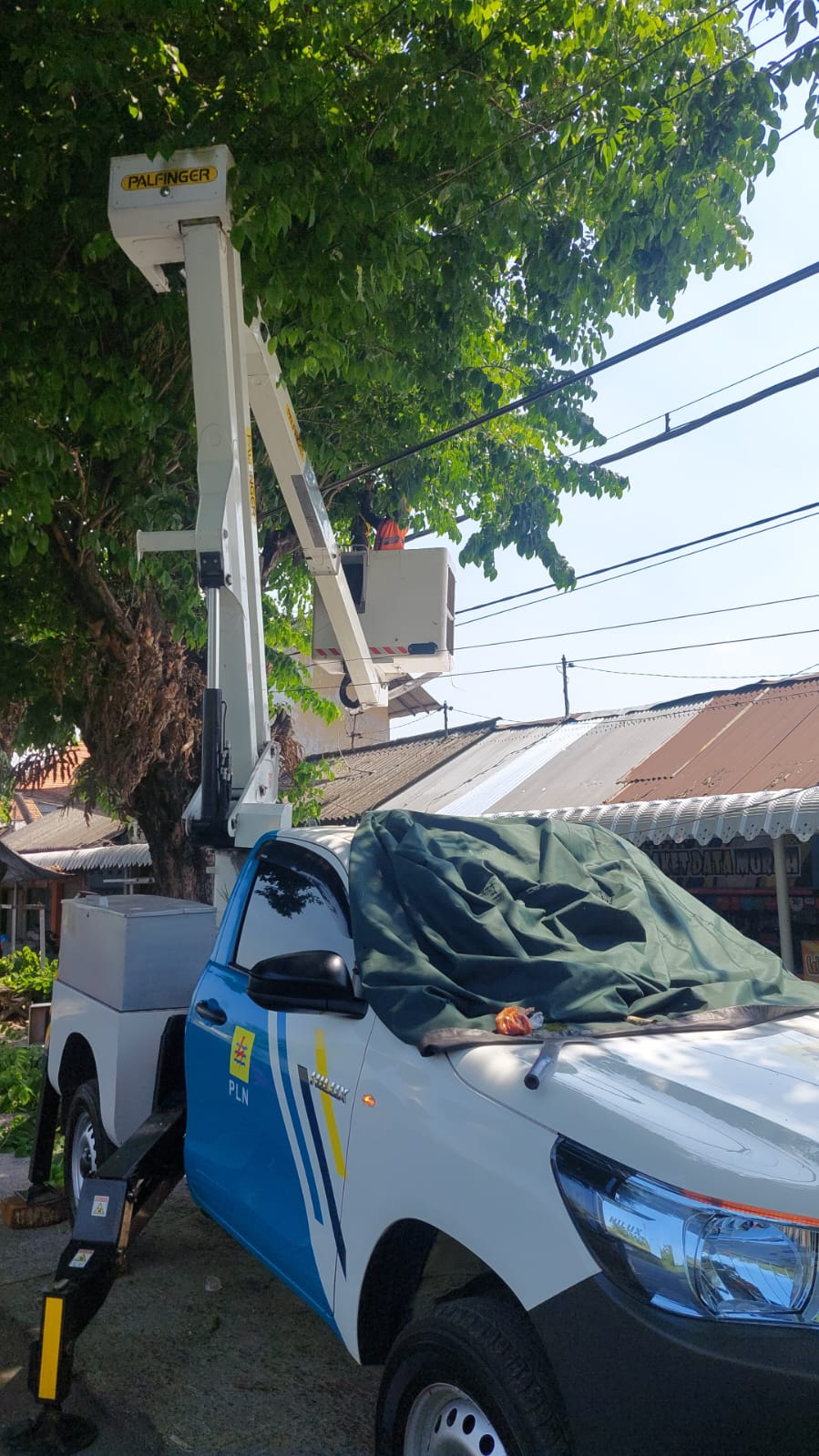pln