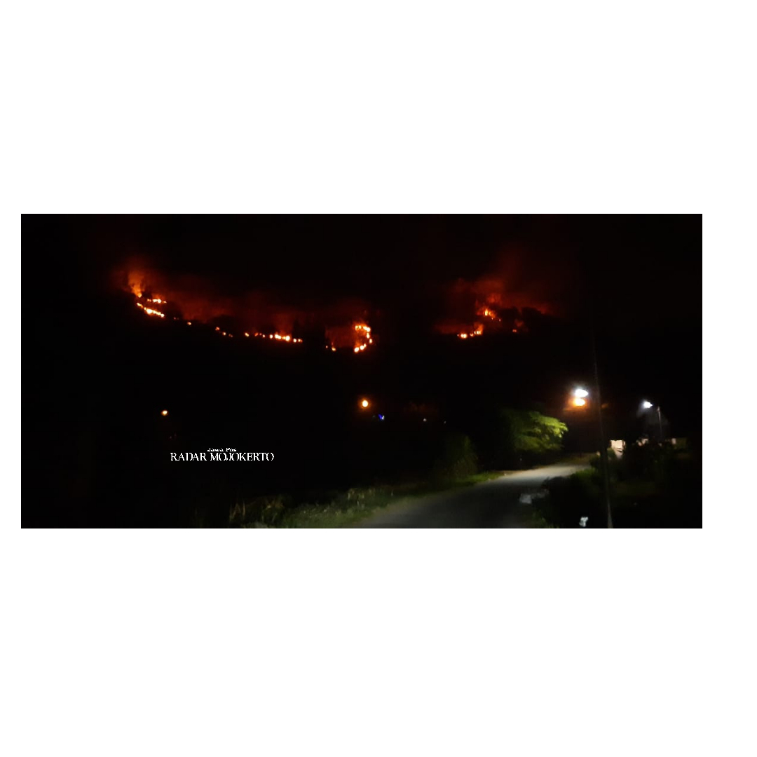MEMBARA: Kebakaran hutan jati di Desa Sumberjati, Kecamatan Jatirejo, Kabupaten Mojokerto, Selasa (8/8) malam.