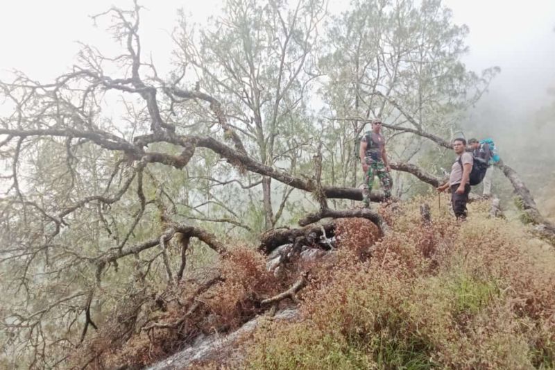 Petugas mengecek lahan yang terbakar di Taman Nasional Gunung Rinjani di Pulau Lombok, Nusa Tenggara Barat.