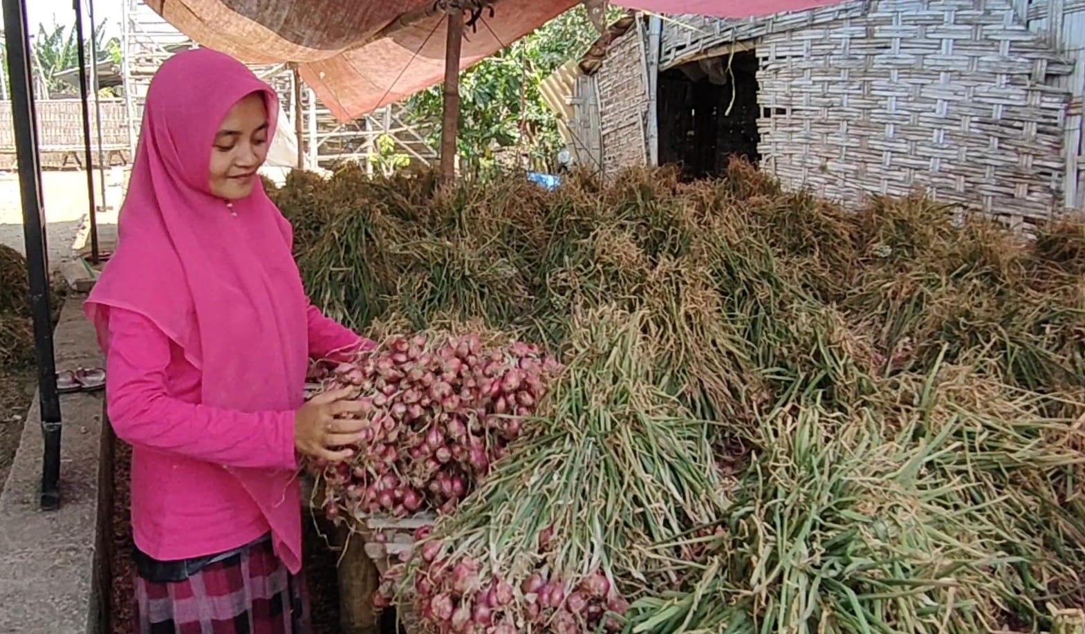 KOMODITAS: Pengepul bawang merah di Dusun Tambaksari, Desa Tambakagung, Kecamatan Puri, Kabupaten Mojokerto, melakukan penjemuran, Selasa (29/8).
