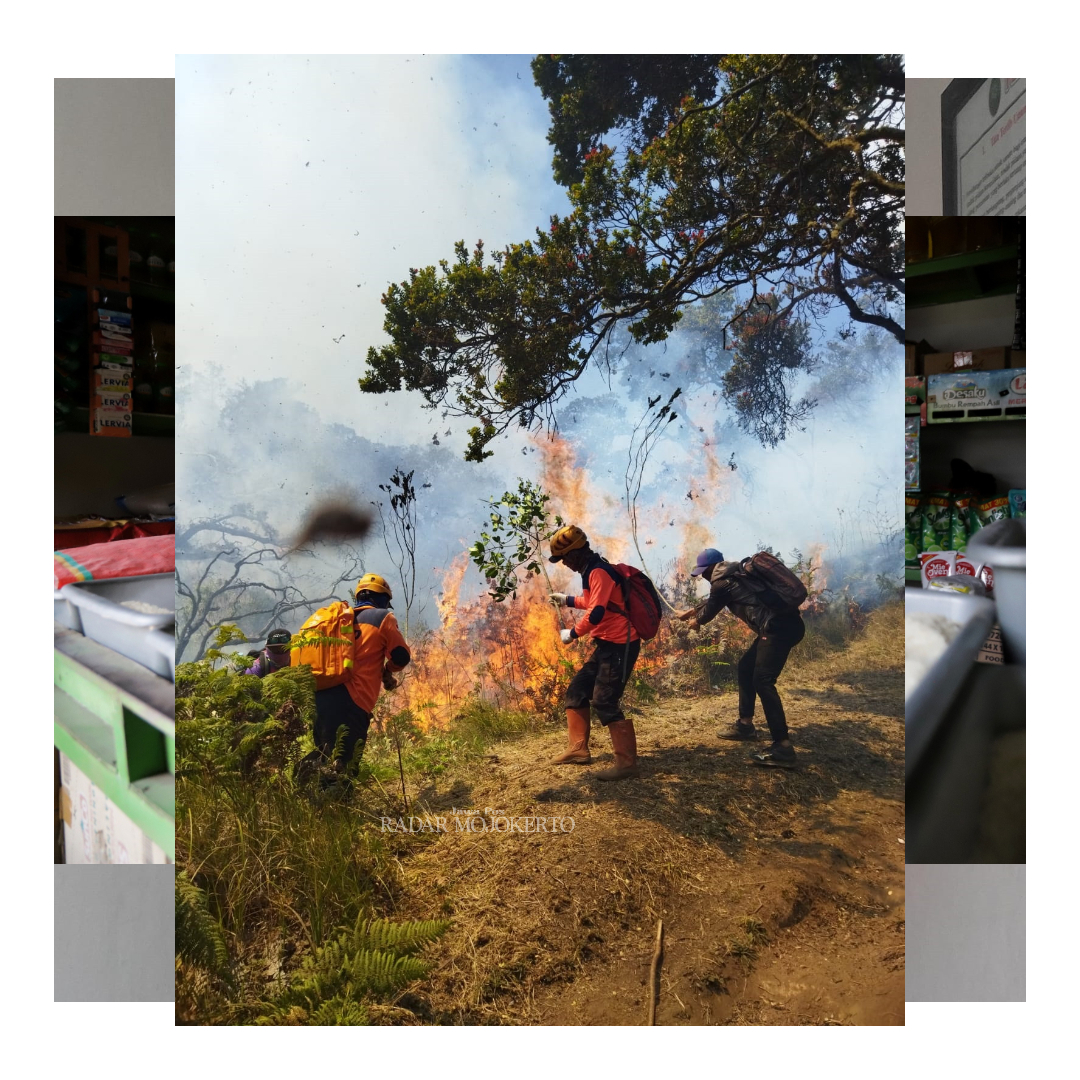 MENJALAR: Petugas gabungan Tahura T Soerjo memadamkan karhutla Gunung Arjuno - Welirang di wilayah Batu. Per Senin (4/9), area kebakaran meluas hingga wilayah Mojokerto.