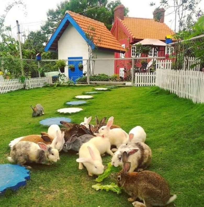 Taman Kelinci terletak di Jalan Air Panas, Desa Padusan, Kecamatan Pacet.
