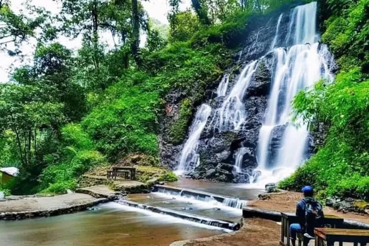 Wana wisata ini berada di dalam area Taman Hutan Raya Raden Soerjo, Kecamatan Pacet, Kabupaten Mojokerto.