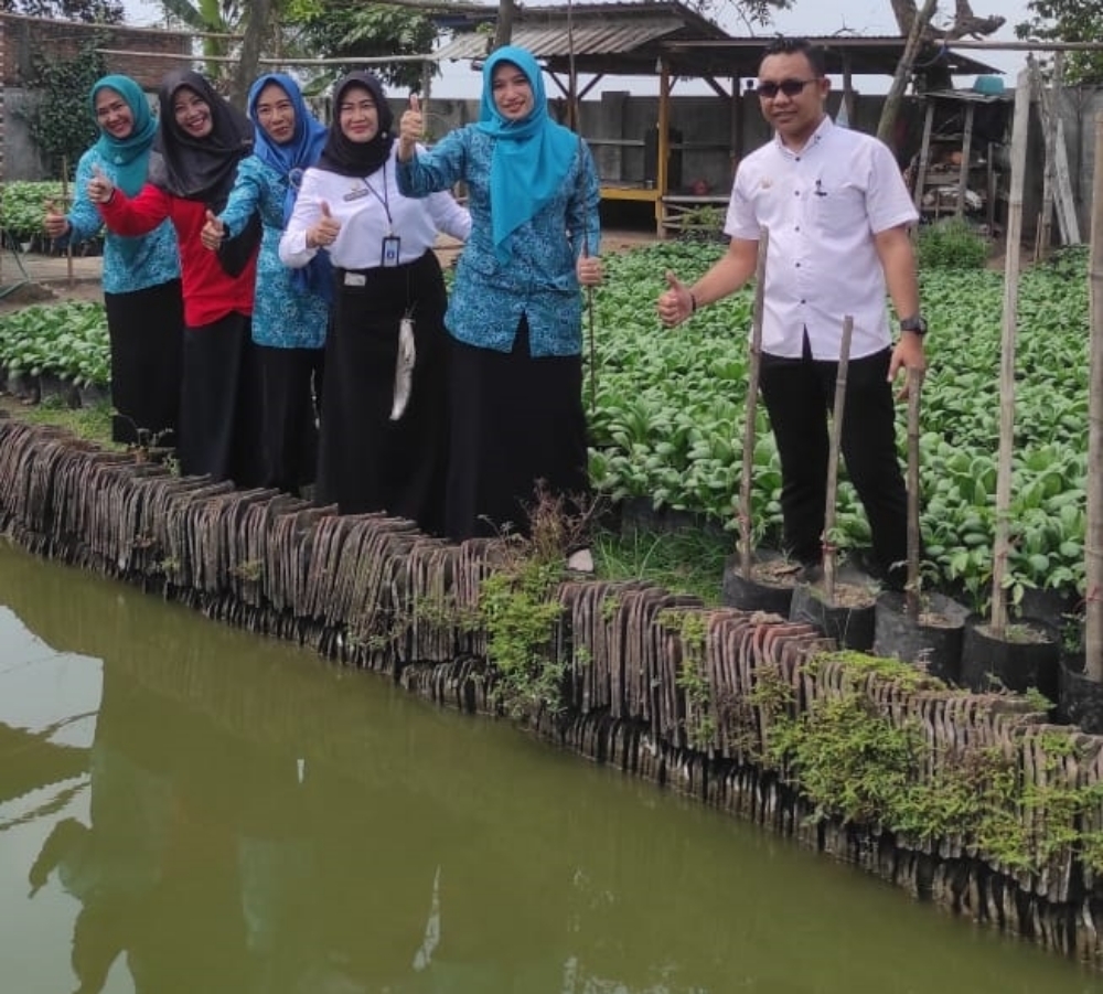 BERNILAI EKONOMIS: Pemdes Singowangi, Kecmatan Kutorejo berdayakan kelompok wanita tani (KWT) Singowangi Jaya 6 dalam budidaya sayur sawi pakcoy.