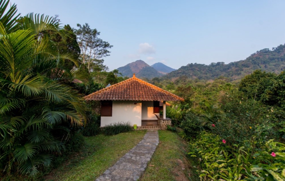 Penginapan di Trawas dengan view pegunungan.