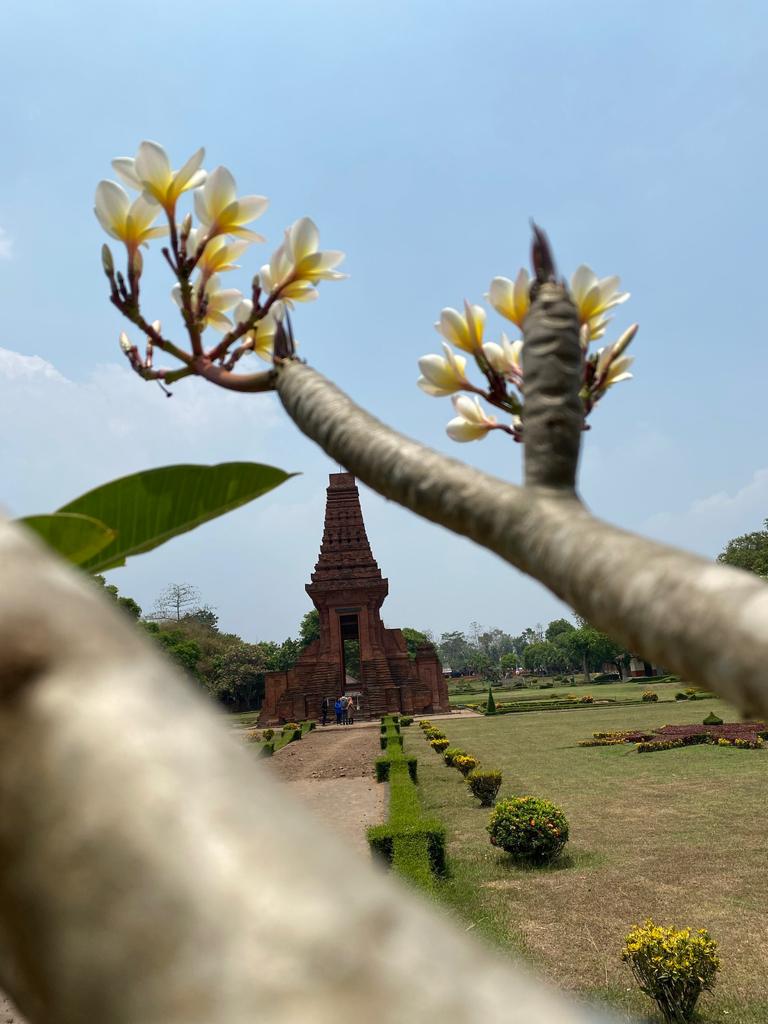 BERBUNGA: Kompleks Candi Bajang Ratu di kelilingi taman bunga.