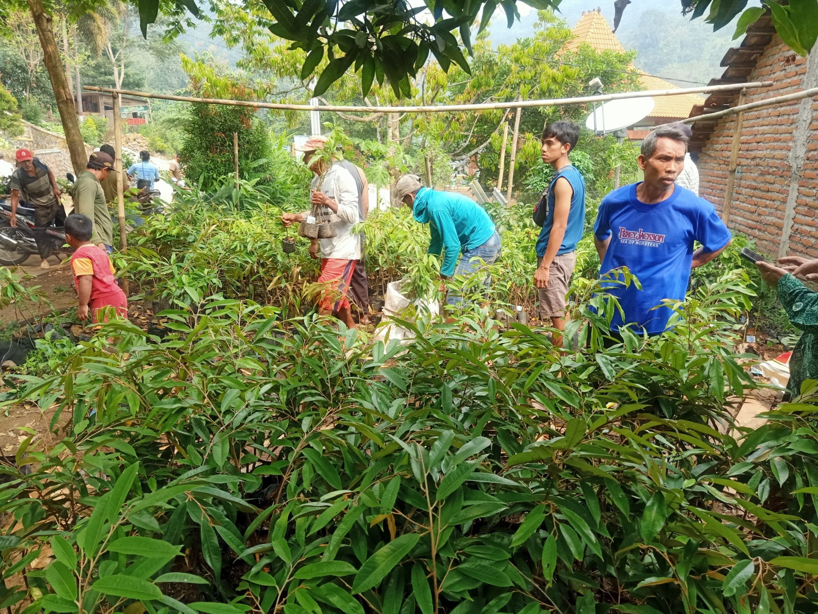 POTENSIAL: Pemdes membagikan bibit pohon durian bagi petani dan seluruh warga Desa Jembul.