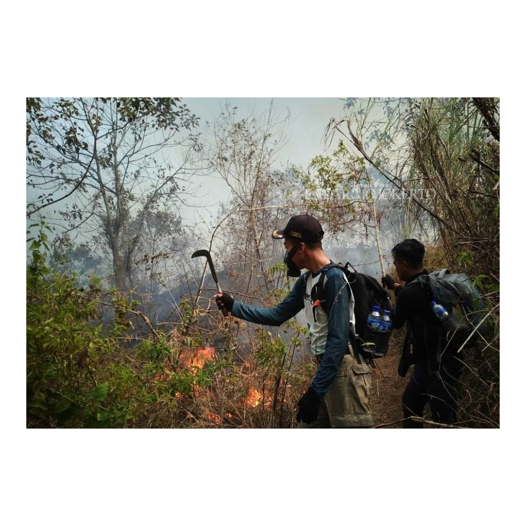 MANUAL: Petugas gabungan memadamkan karhutla di gugusan Gunung Anjasmoro secara manual sejak, Sabtu (30/9) petang.