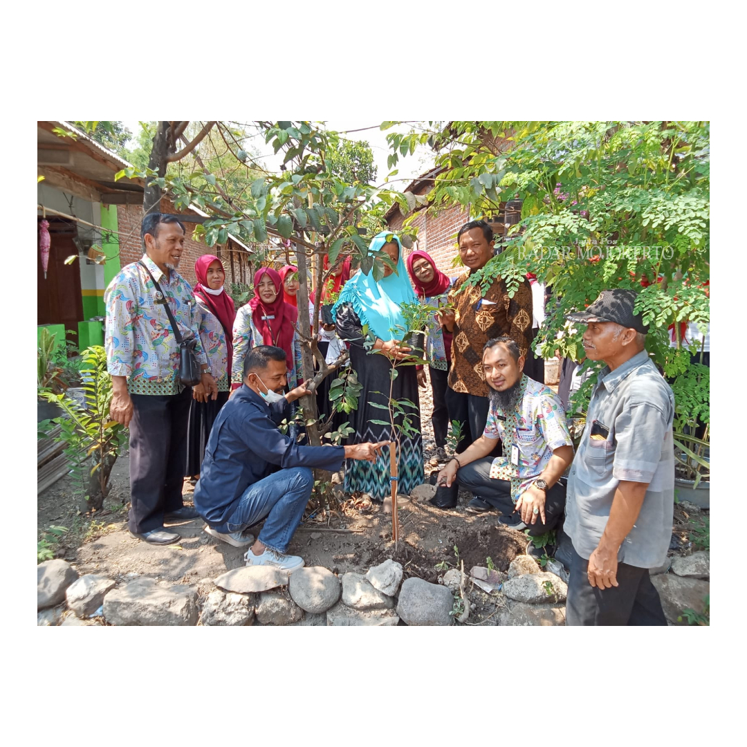 PREVENTIF: Penanaman bibit pohon salam dan seledri di rumah pasien hipertensi di Desa Kertosari menjadi bagian kegiatan inovasi Gerobak Dati.