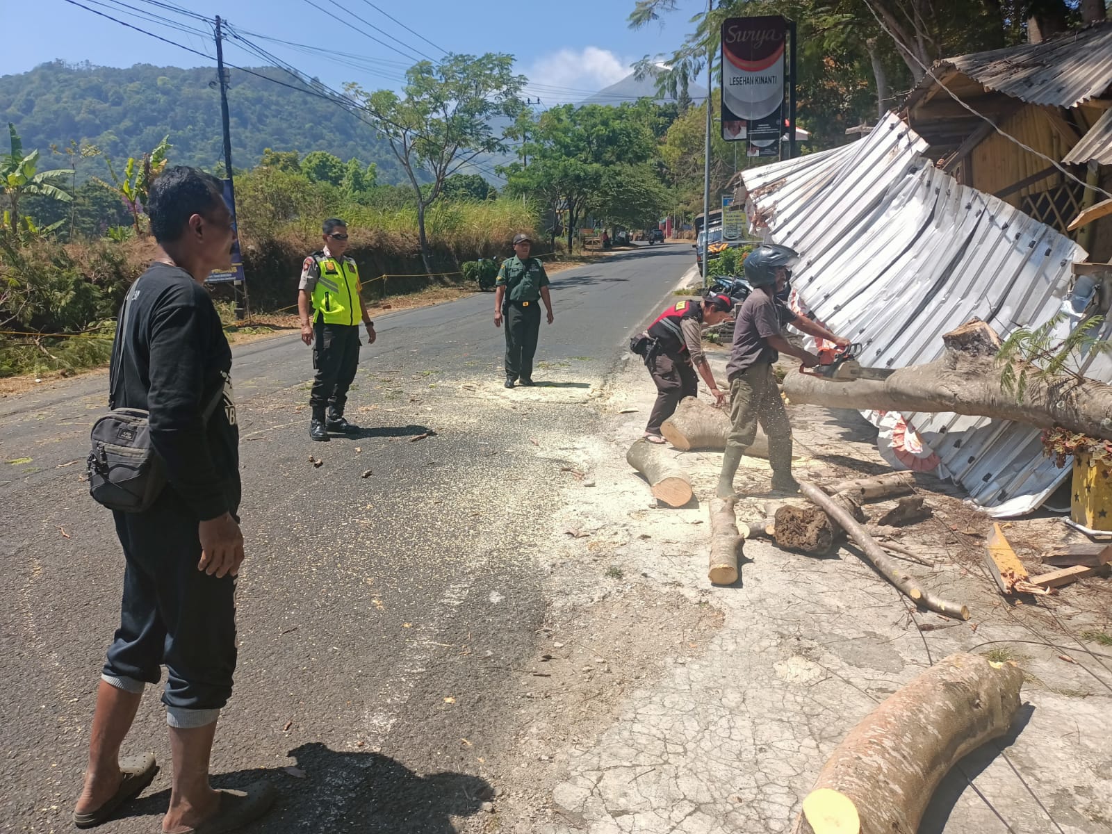 DIPOTONG: Petugas gabungan mengevakuasi pohon tumbang di Dusun Kemloko, Desa/Kecamatan Trawas yang menutup Jalur Mojosari-Trawas, Rabu (4/10).