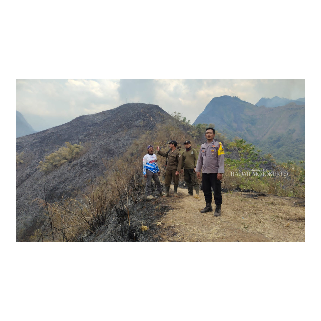 PEMANTAUAN: Petugas gabungan memantau perkembangan situasi karhutla gugusan Gunung Anjasmoro di wilayah Kabupaten Mojokerto.