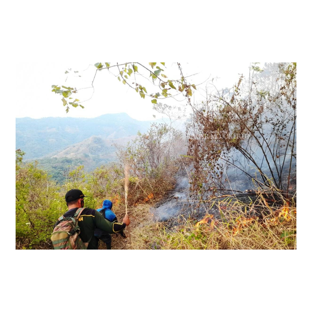 DIPADAMKAN: Petugas memadamkan api karhutla gugusan Gunung Anjasmoro di Kabupaten Mojokerto. Kini, kebakaran dilaporkan sudah padam.