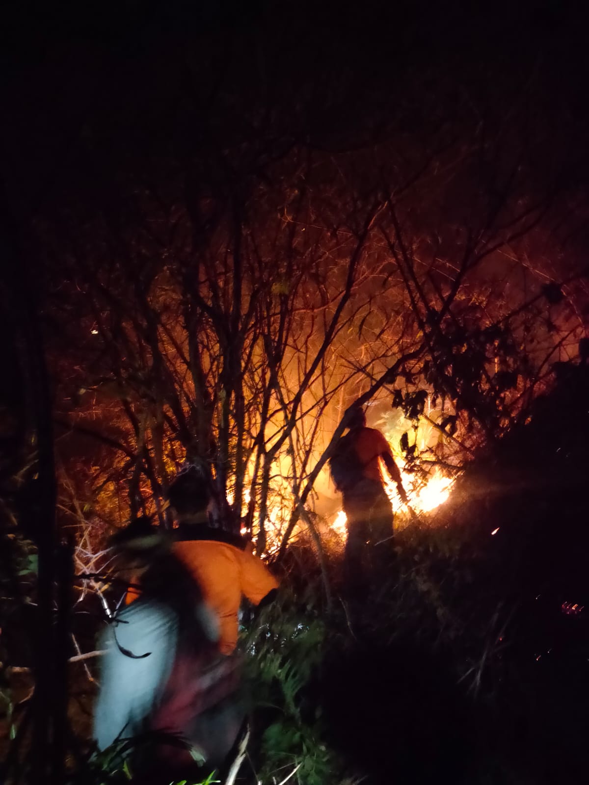 KEMBALI BERKOBAR: Petugas memadamkan karhutla Gunung Penanggungan di wilayah Trawas yang setelah dilaporkan kembali menyala, Jumat (20/10) petang.